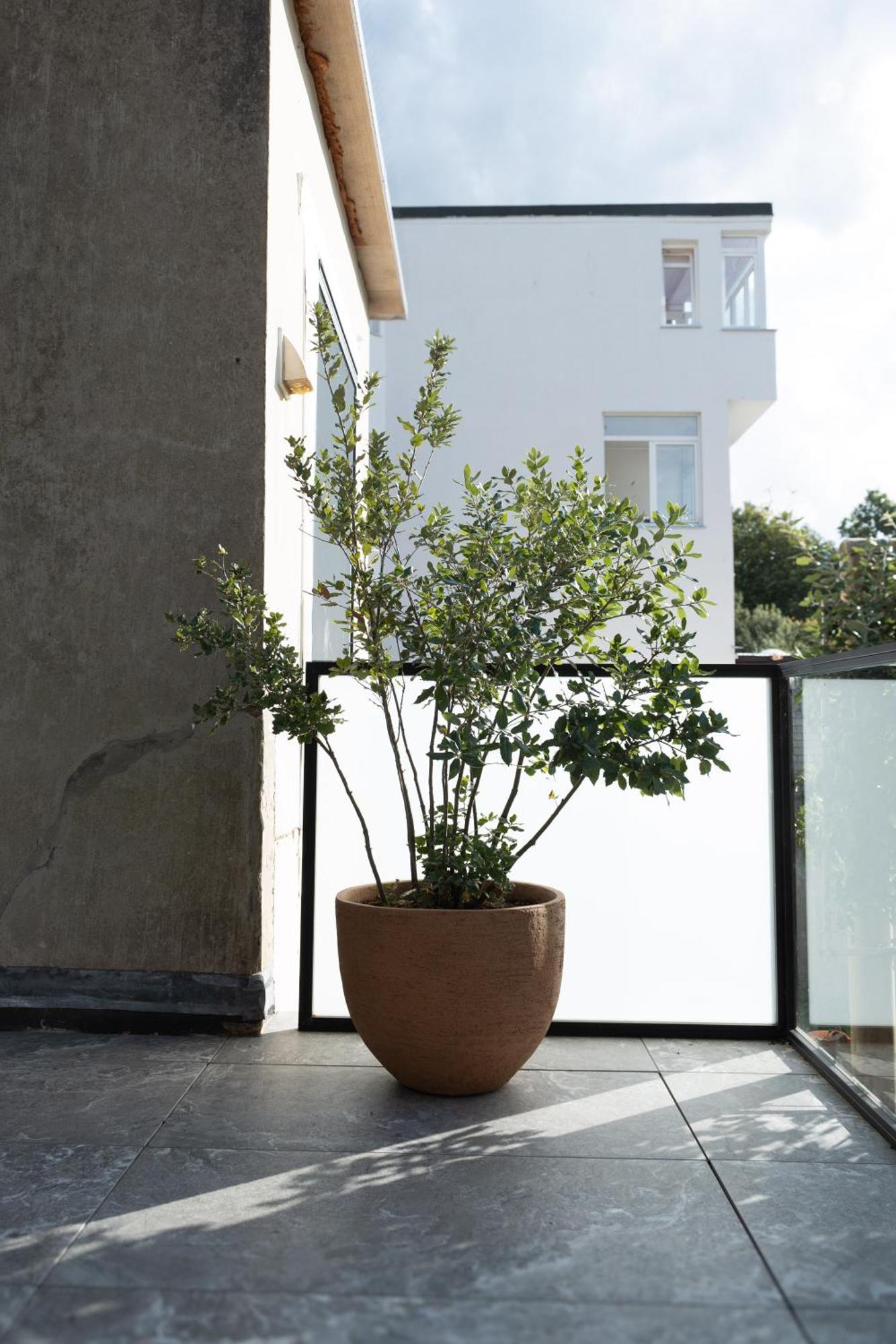 Huis Agnes Ostend Exterior photo